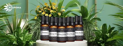 Qualidade Máquina elétrica difusora de aromas fábrica