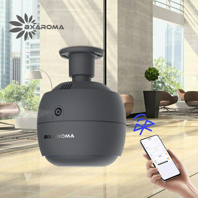 Bom preço O Nebulizer elétrico do difusor comercial do aroma do Usb personalizou popular on-line