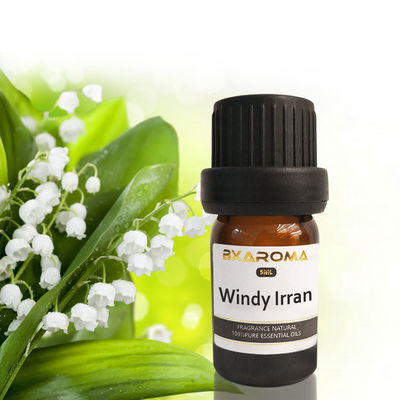 Bom preço Fragrância sustentável 500ml do refrogerador de ar do carro de Ilan Aroma Diffuser Essential Oil on-line