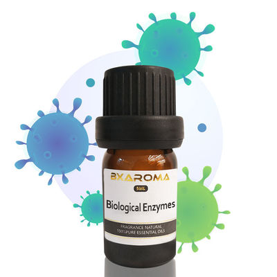 Bom preço O óleo essencial do difusor do aroma 500ML desinfeta o óleo essencial da pastilha de hortelã on-line